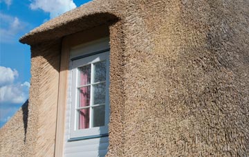 Saltness thatch roof disadvantages