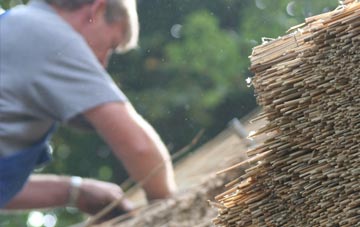 professional Saltness thatchers