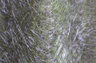 Saltness fibreglass roof work